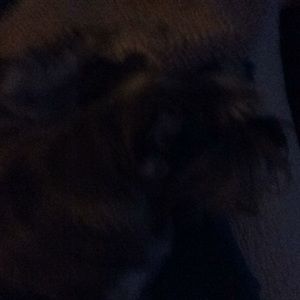 Meet your Posher, Mary lou